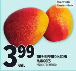Metro TREE-RIPENED HADEN MANGOES offer