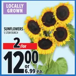 Metro SUNFLOWERS offer