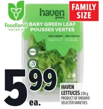 Metro HAVEN LETTUCES offer