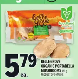 Metro BELLE GROVE ORGANIC PORTABELLA MUSHROOMS offer