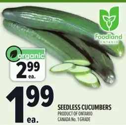 Metro SEEDLESS CUCUMBERS offer