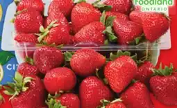 Metro LOCAL FIELD STRAWBERRIES offer