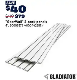 RONA GearWall 2-pack panels offer