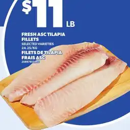 Independent Grocer FRESH ASC TILAPIA FILLETS offer