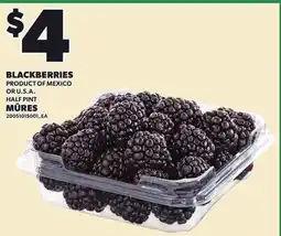 Independent Grocer BLACKBERRIES, HALF PINT offer