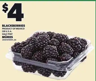 Independent Grocer BLACKBERRIES, HALF PINT offer