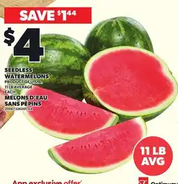 Independent Grocer SEEDLESS WATERMELONS, 11 LB AVERAGE EACH offer