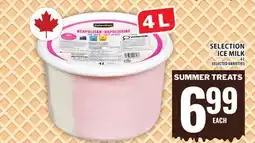 Food Basics SELECTION ICE MILK offer