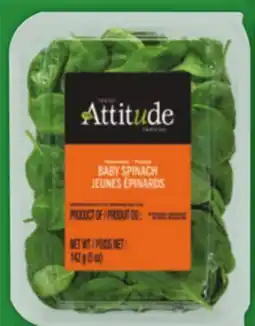 Food Basics ATTITUDE SALADS offer