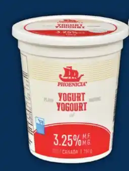 Food Basics CEDAR OR PHOENICIA YOGURT offer