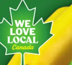 Food Basics GREEN, GRAY OR YELLOW ZUCCHINIS offer