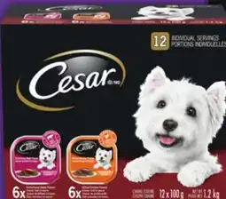 Food Basics CESAR DOG FOOD offer