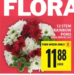 Food Basics 12 STEM RAINBOW POMS offer