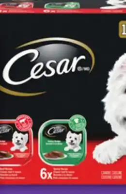 Food Basics CESAR DOG FOOD offer