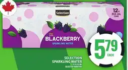 Food Basics SELECTION SPARKLING WATER offer