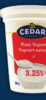 Food Basics CEDAR OR PHOENICIA YOGURT offer