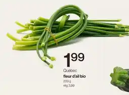 Avril Québec fleur d'ail bio offer