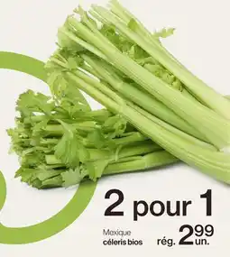 Avril Mexique céleris bios offer