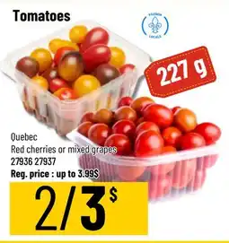 Mayrand Tomatoes offer