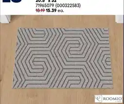 RONA ALL ROOMIO carpets and rugs, 20.5 x 32 offer
