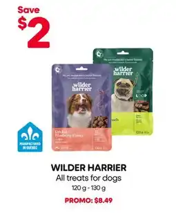 Mondou WILDER HARRIER All treats for dogs offer