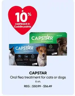 Mondou Oral flea treatment for cats or dogs offer