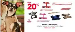 Mondou BRIGADE / MINI BRIGADE All leashes, collars, and harnesses for cats or dogs offer