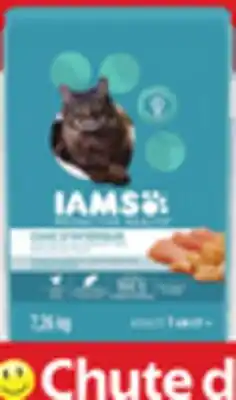 Walmart IAMS Proactive Health dry cat food offer