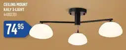 Canac Ceiling Mount offer