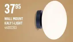 Canac Wall Mount offer