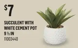 Canac Artificial Succulent Plant with White Cement Pot offer