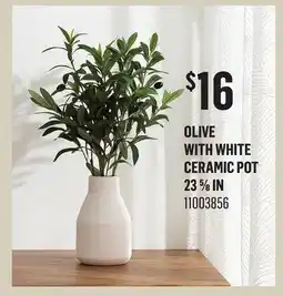 Canac Artificial Olive Plant with White Ceramic Pot offer