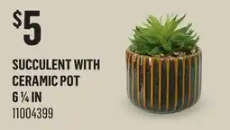 Canac Artificial Succulent Plant with Ceramic Pot offer