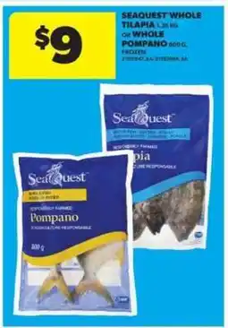 Real Canadian Superstore Seaquest Whole Tilapia or Whole Pompano offer