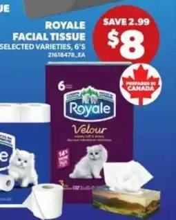 Real Canadian Superstore Royale Facial Tissue offer