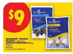 No Frills Seaquest Whole Tilapia or Whole Pompano offer