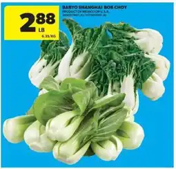 Real Canadian Superstore Baby Shanghai Bok Choy offer