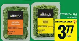 Food Basics ATTITUDE SALADS offer