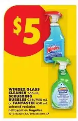 No Frills Windex Glass Cleaner offer