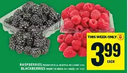 Food Basics RASPBERRIES OR BLACKBERRIES offer