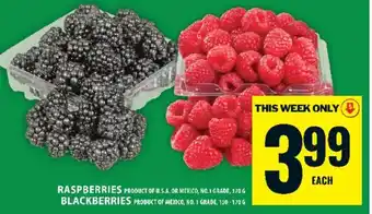 Food Basics RASPBERRIES OR BLACKBERRIES offer