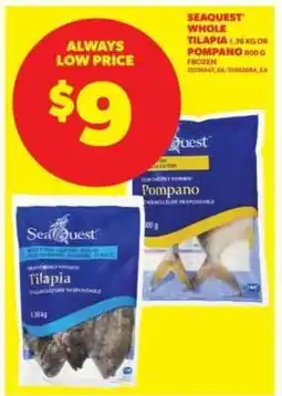 Real Canadian Superstore SEAQUEST WHOLE TILAPIA or POMPANO offer