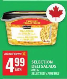 Food Basics Selection Deli Salads offer