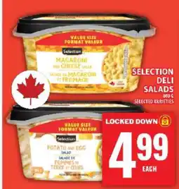 Food Basics Selection Deli Salads offer