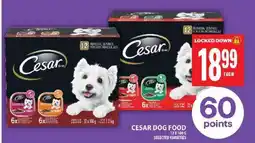 Food Basics CESAR DOG FOOD offer