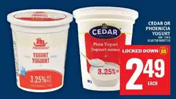 Food Basics Cedar or Phoenicia Yogurt offer