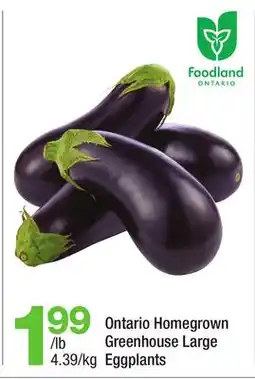 Highland Farms Ontario Homegrown Greenhouse Large Eggplants offer