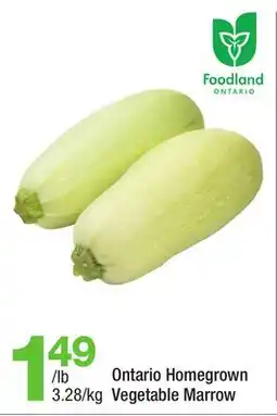 Highland Farms Ontario Homegrown Vegetable Marrow offer