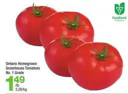 Highland Farms Ontario Homegrown Greenhouse Tomatoes offer