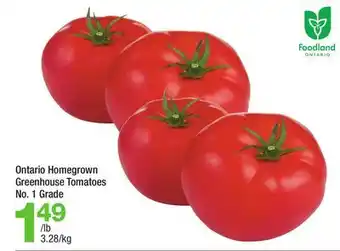Highland Farms Ontario Homegrown Greenhouse Tomatoes offer